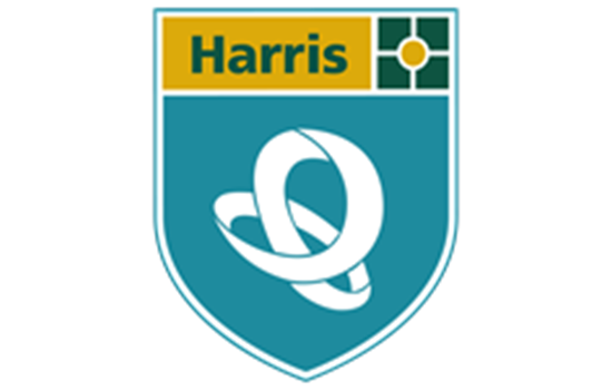 Harris Tottenham Academy Secondary